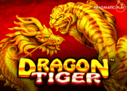 dragon tiger